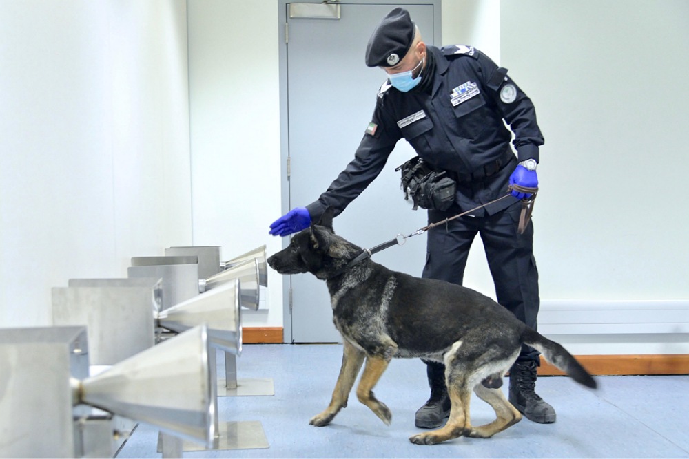 UAE TOPS WORLD COUNTRIES IN DETECTING COVID-19 WITH POLICE DOGS